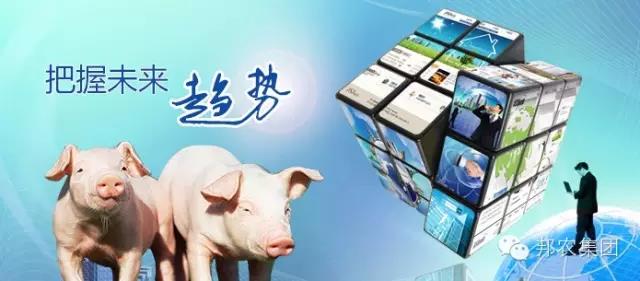 【中原邦農(nóng)】未來3~5年，誰還在養(yǎng)豬，誰還能養(yǎng)豬？